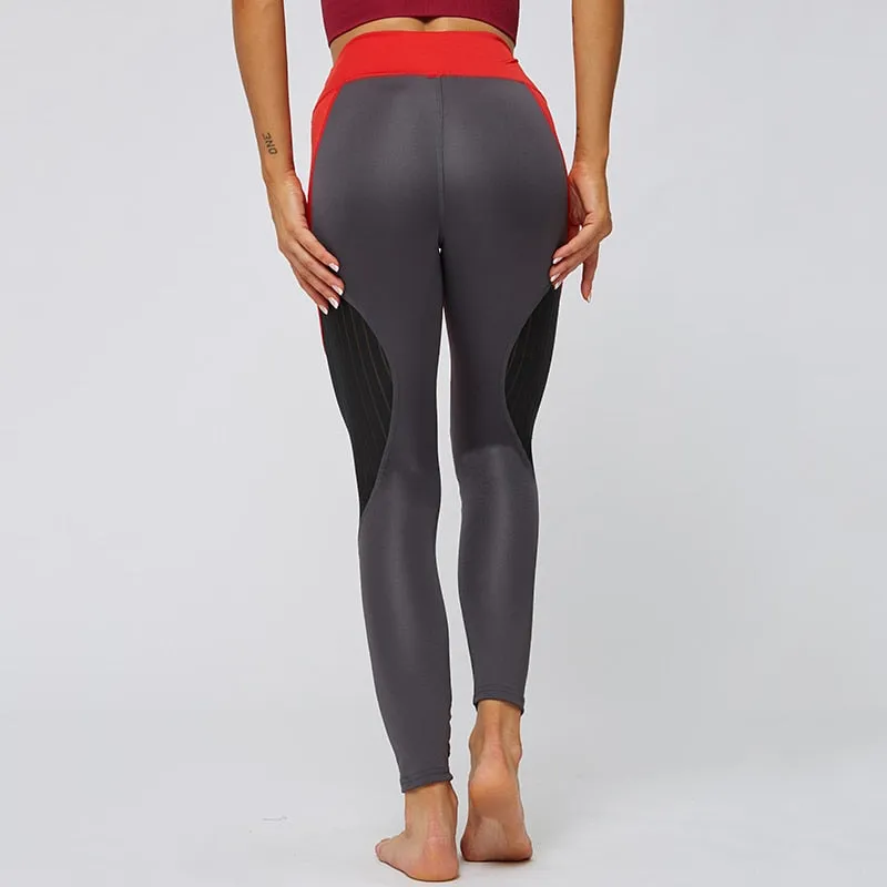 Cicatrize Hollow Stripped Athleisure