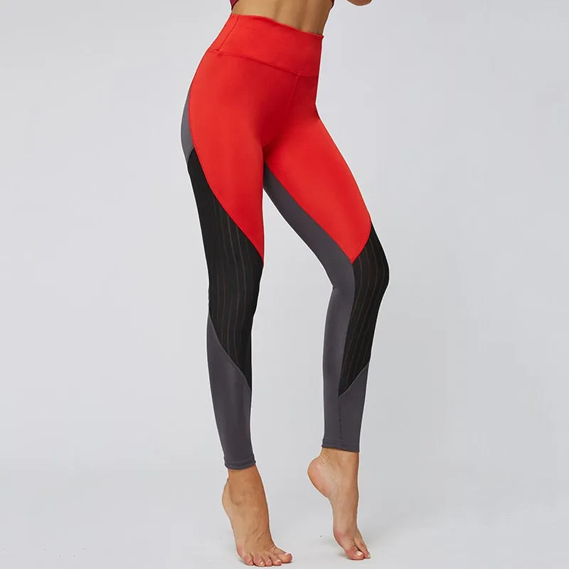 Cicatrize Hollow Stripped Athleisure