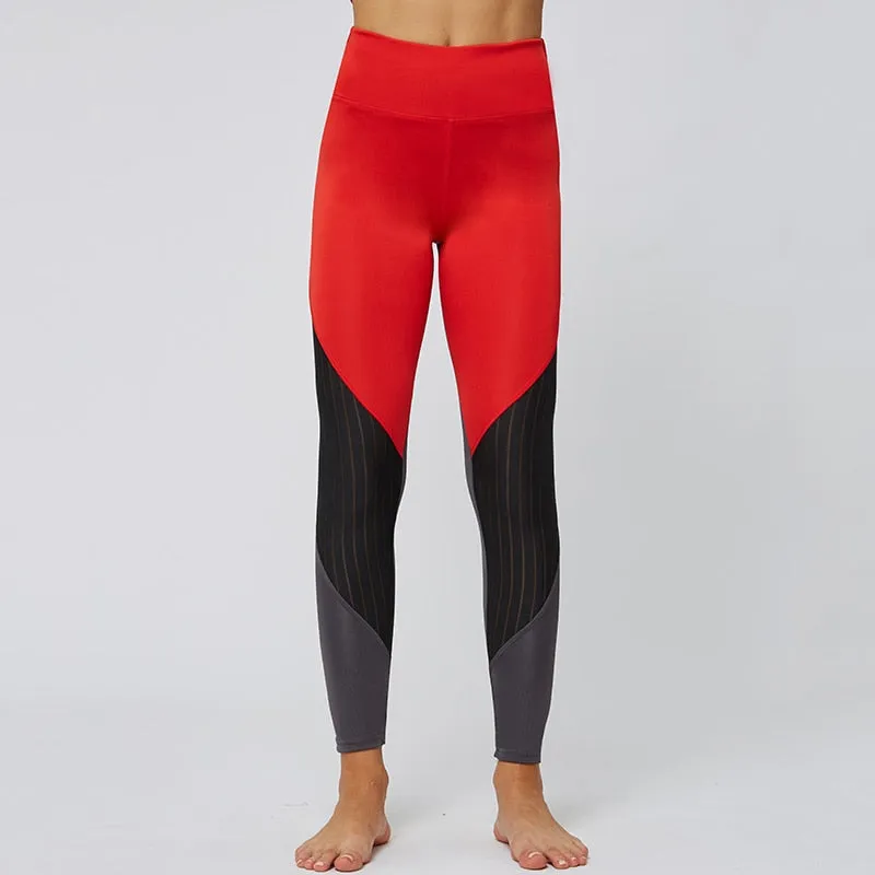 Cicatrize Hollow Stripped Athleisure