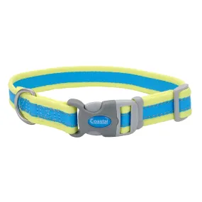 Pro Reflective Adjustable Dog Collar, Blue and Yellow, Small